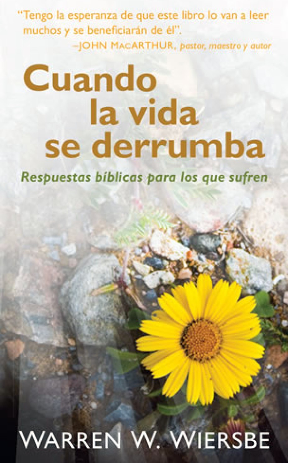 Cuando la Vida se Derrumba - Edición Bolsillo - Tapa Blanda - Warren Wiersbe