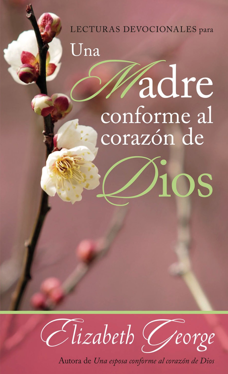 Lecturas Devocionales para una Madre Conforme al Corazón de Dios - Edición Bolsillo - Tapa Blanda – Elizabeth George