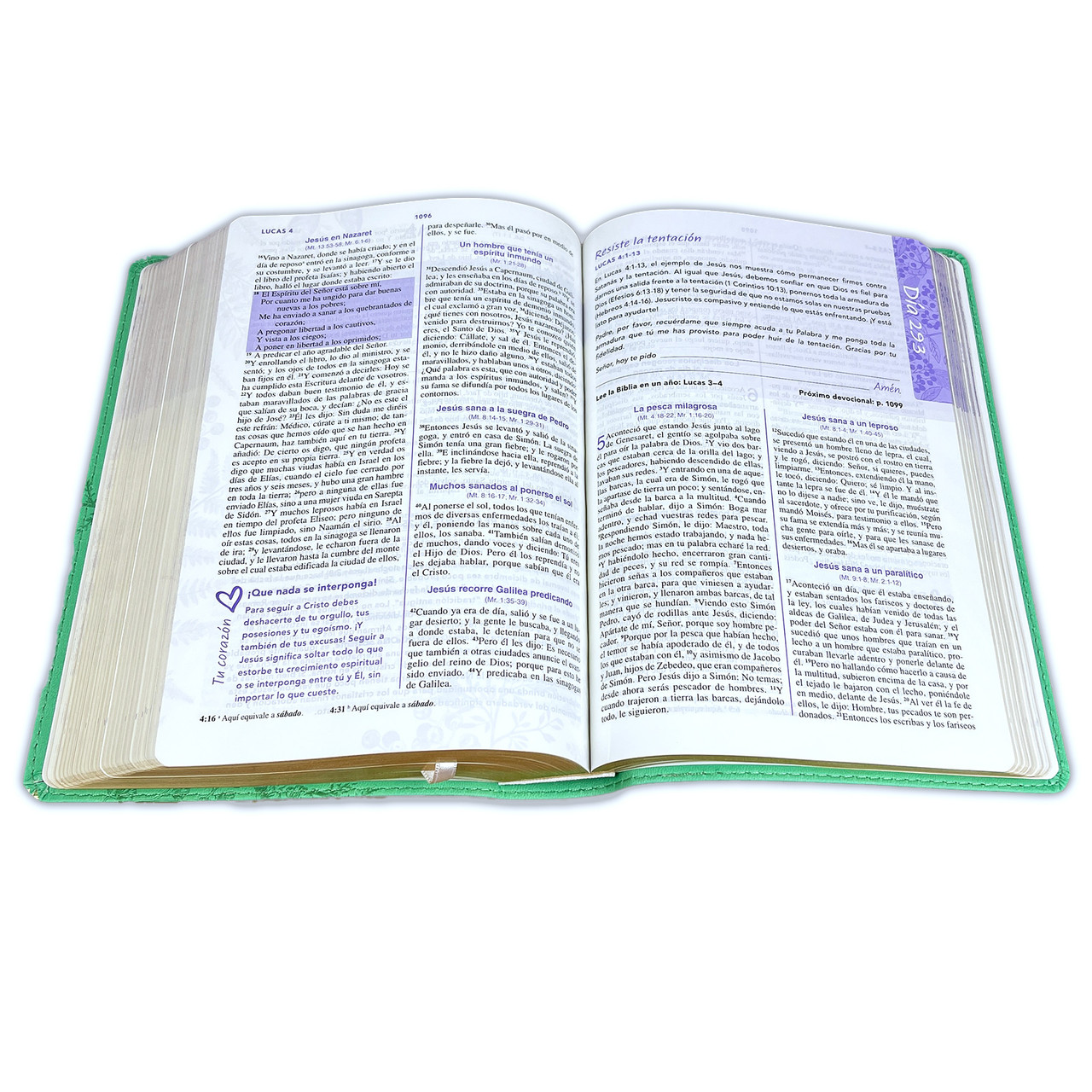 Biblia de una Joven Conforme al Corazón de Dios Imitación Piel Verde - Elizabeth George - Imagen 2