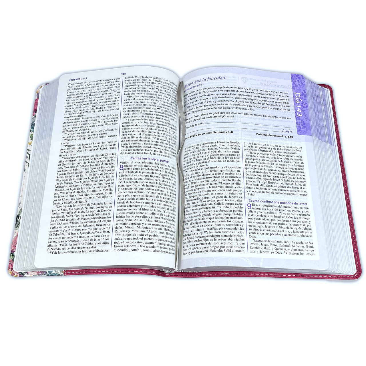 Biblia de una Joven Conforme al Corazón de Dios RVR 1960 Lujo Floral Imitación Piel - Elizabeth George - Imagen 4