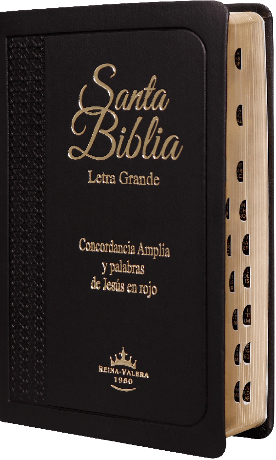 Biblia RVR60 - Concordancia Amplia, Letra Grande, Palabras de Jesús en Rojo, Indice, Tapa Negra y Canto Dorado