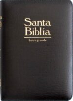 Biblia Acolchonada Letra Grande 12 Puntos e Indice - Reina Valera 1960 Imitación Piel con Cierre y Bolsillo
