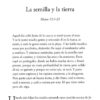Las Parábolas de Jesús - Tapa Blanda – James Montgomery Boice - Imagen 4