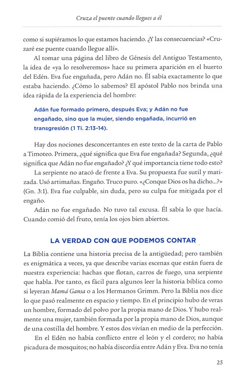 Mentiras que los Hombres Creen - Tapa Blanda – Robert Wolgemuth - Imagen 8