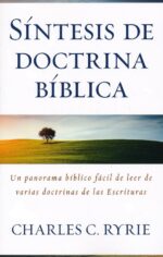 Alternative view of Síntesis de Doctrina Bíblica - Tapa Blanda – Charles C. Ryrie