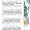 La Biblia y Sus Grandes Historias - Tapa Blanda Connie Palm - Imagen 8