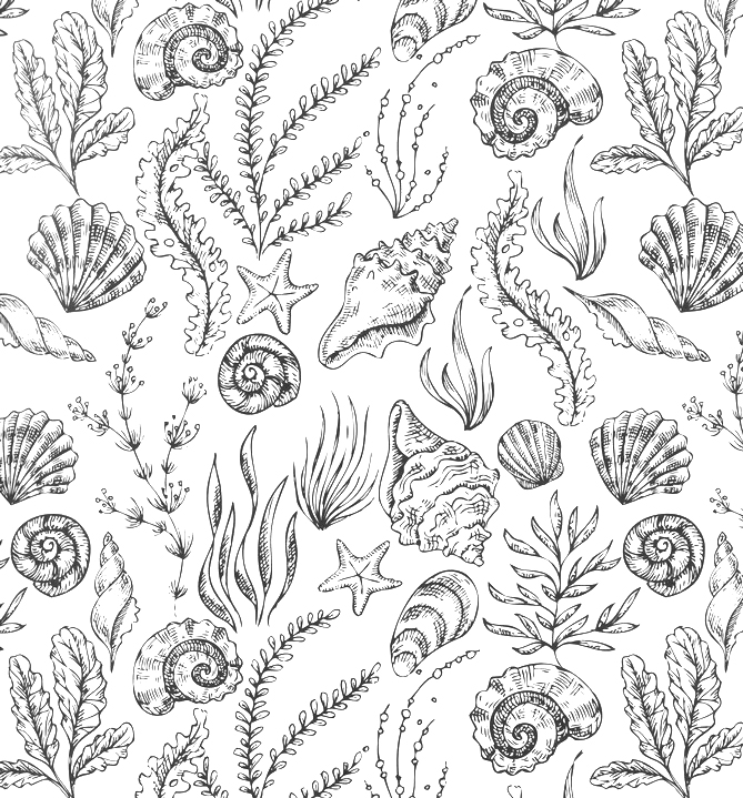 Brilla Colorea tu Vida Hermosa: Libro de Colorear - Tapa Blanda - Christian Art - Imagen 7