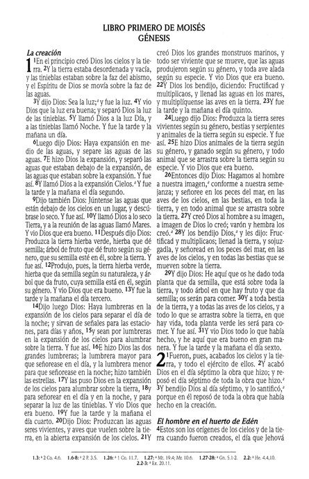 Biblia de Promesas Reina Valera 1960 para Niños - Tapa Dura - Imagen 3