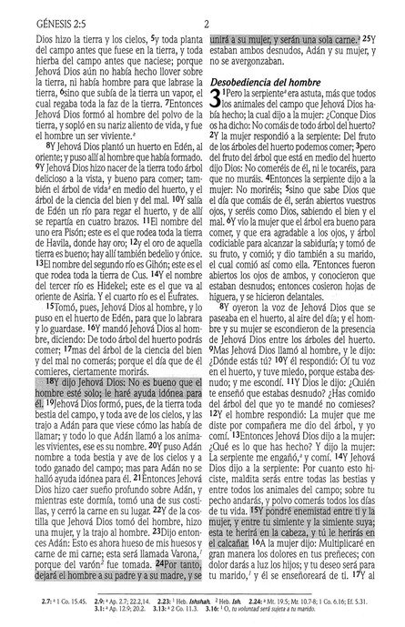 Biblia de Promesas Reina Valera 1960 para Niños - Tapa Dura - Imagen 4
