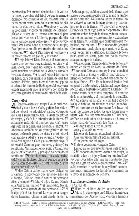 Biblia de Promesas Reina Valera 1960 para Niños - Tapa Dura - Imagen 5