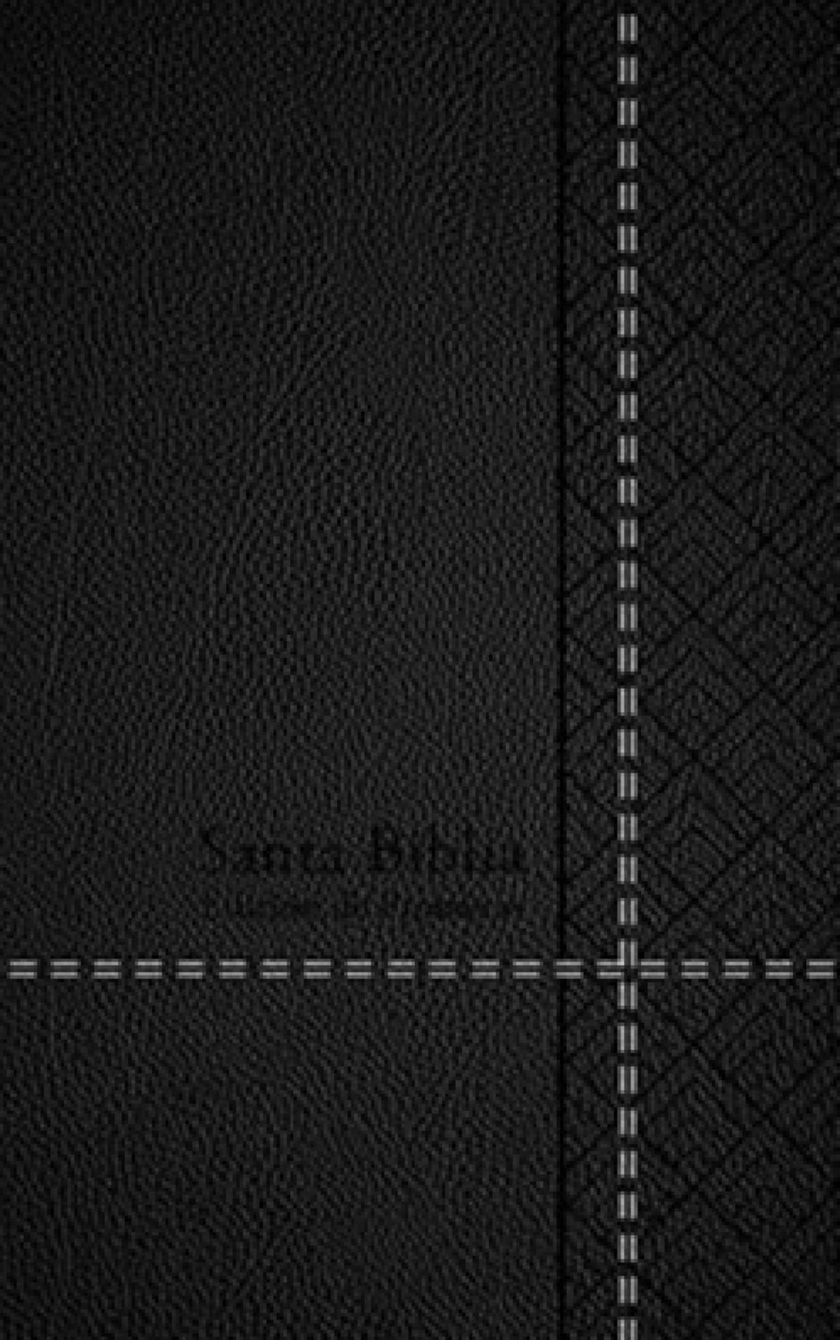 Biblia de Promesas Reina Valera 1960- Tamaño Manual - Edición Negro - Imitación Piel con Índice