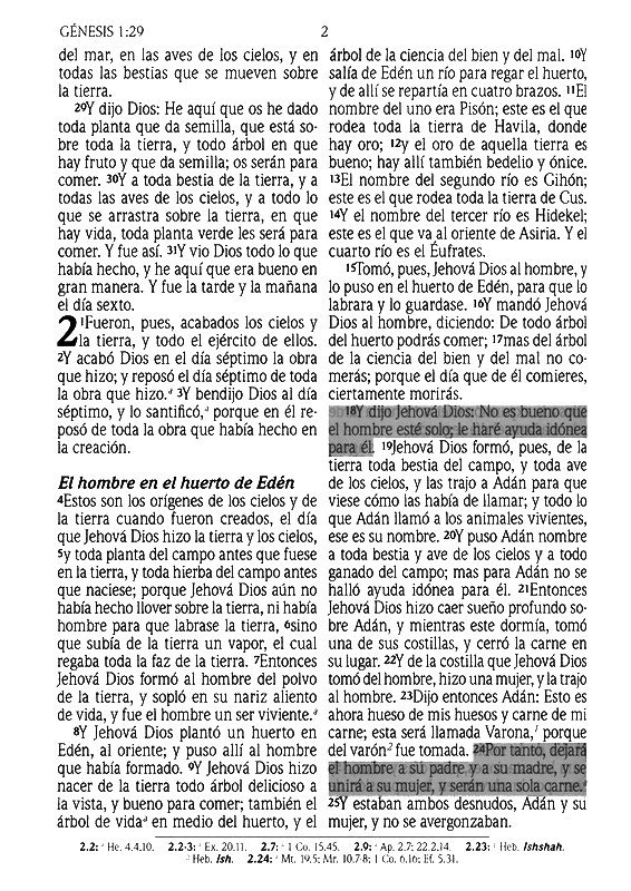 Biblia de Promesas Reina Valera 1960- Tamaño Manual - Edición Negro - Imitación Piel con Índice - Imagen 5