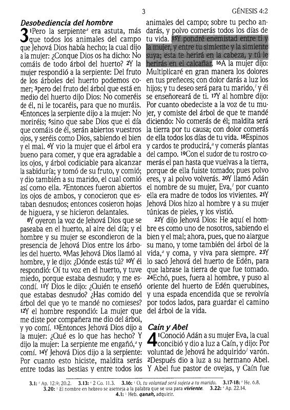 Biblia de Promesas Reina Valera 1960- Tamaño Manual - Edición Negro - Imitación Piel con Índice - Imagen 6