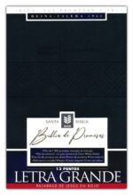 Alternative view of Santa Biblia de Promesas Reina Valera 1960 Letra Gigante Negra Indice Tapa Blanda