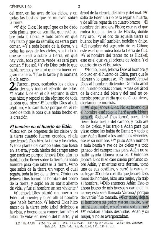 Santa Biblia de Promesas Reina Valera 1960 Letra Gigante Negra Indice Tapa Blanda - Imagen 5