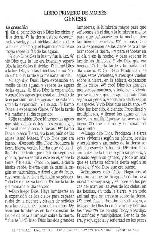Santa Biblia de Promesas Reina Valera 1960 Letra Gigante Turquesa Indice Tapa Blanda - Imagen 4