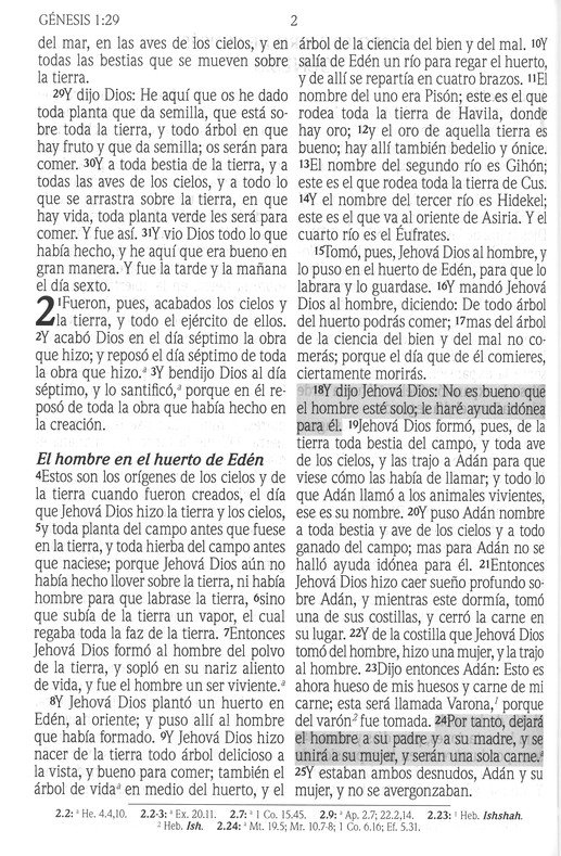 Santa Biblia de Promesas Reina Valera 1960 Letra Gigante Turquesa Indice Tapa Blanda - Imagen 5