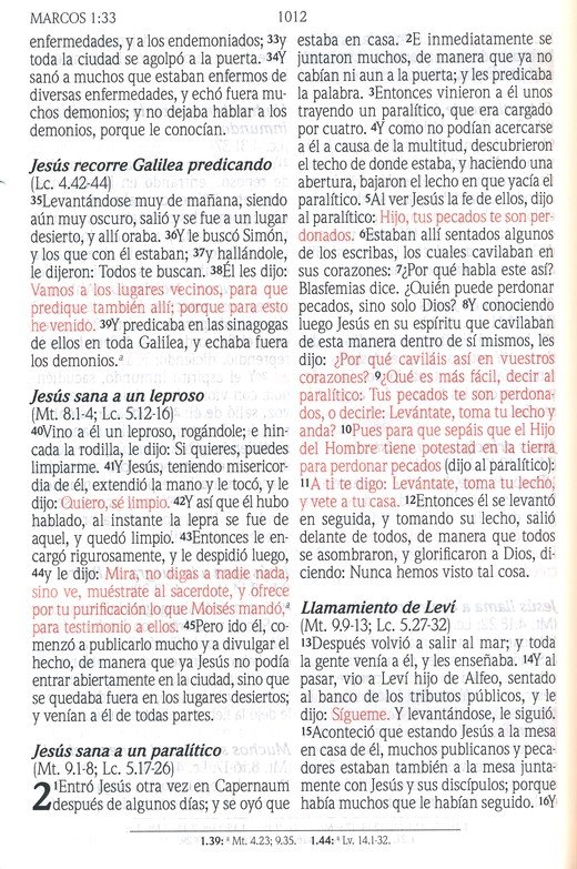 Santa Biblia de Promesas Reina Valera 1960 Letra Gigante Turquesa Indice Tapa Blanda - Imagen 9