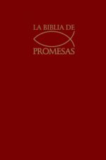 Biblia de Promesas Reina Valera 1960 - Económica - Tapa Dura - Vino