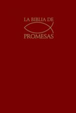 Biblia de Promesas Reina Valera 1960 - Económica - Rústica - Vino