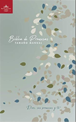 Biblia de Promesas Reina Valera 1960 - Tamaño Manual - Rústica - Familia