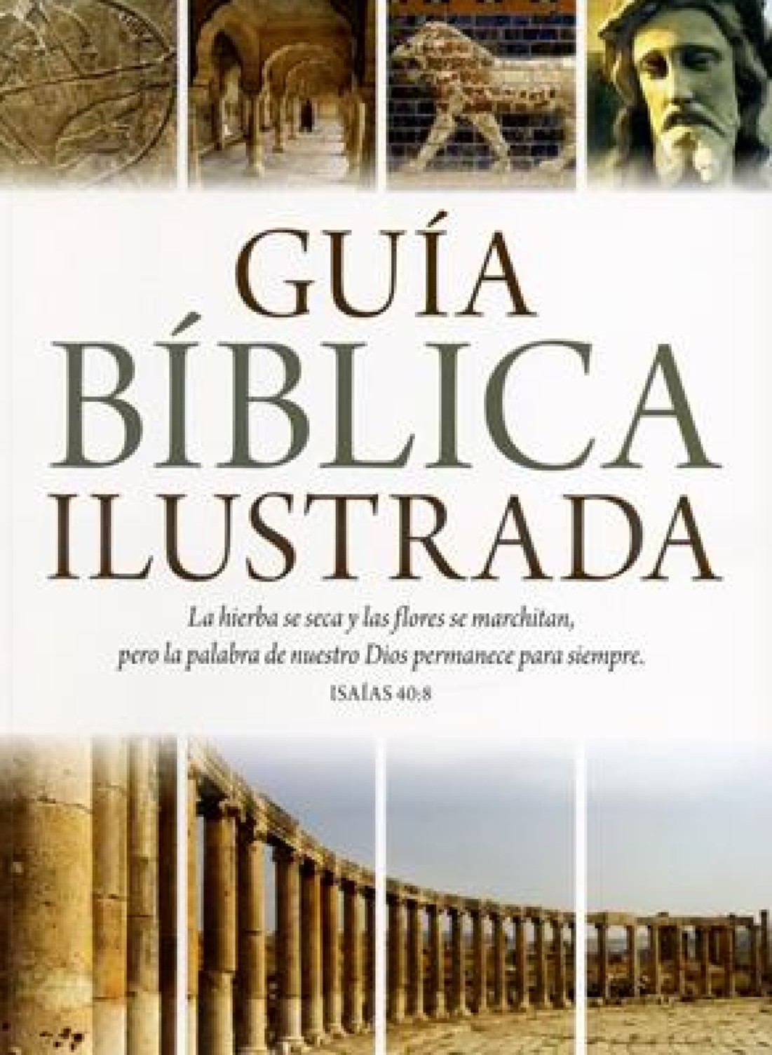 Guía Bíblica Ilustrada - Tapa Blanda - Tim Dowley