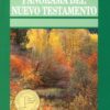 Panorama del Nuevo Testamento - Tapa Blanda - Paul Benware