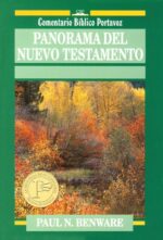 Panorama del Nuevo Testamento - Tapa Blanda - Paul Benware