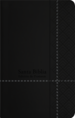 Biblia de Promesas Reina Valera 1960 - Tamaño Manual - Edición Negro - Imitación Piel