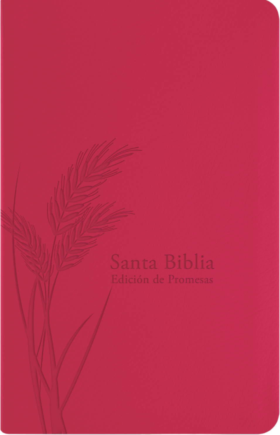 Biblia de Promesas Reina Valera 1960 - Tamaño Manual - Edición Fucsia - Imitación Piel Indice