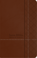 Biblia de Promesas Reina Valera 1960 - Tamaño Manual - Edición Café - Imitación Piel