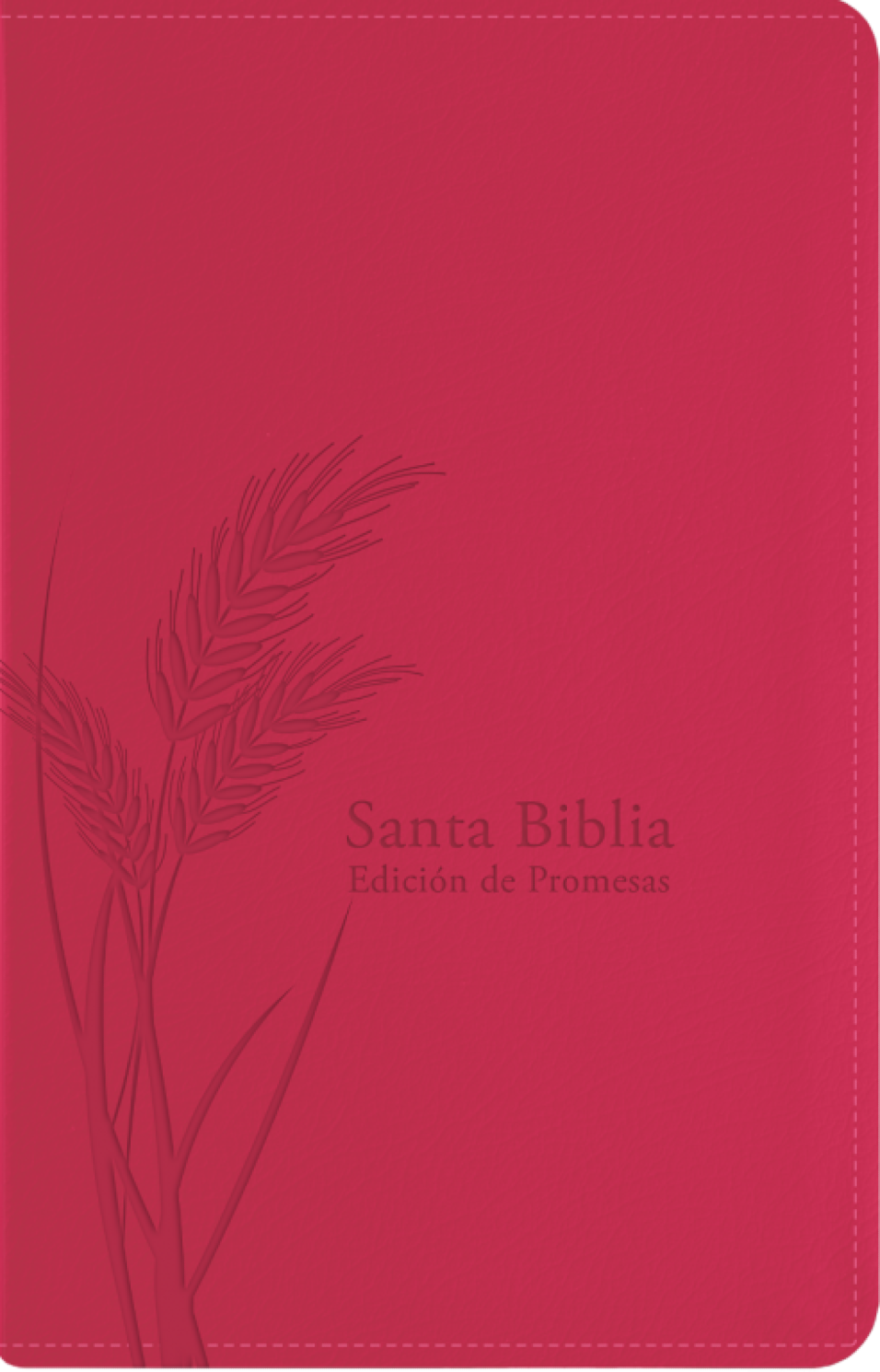 Biblia de Promesas Reina Valera 1960 - Tamaño Manual - Edición Fucsia - Imitación Piel con Cierre