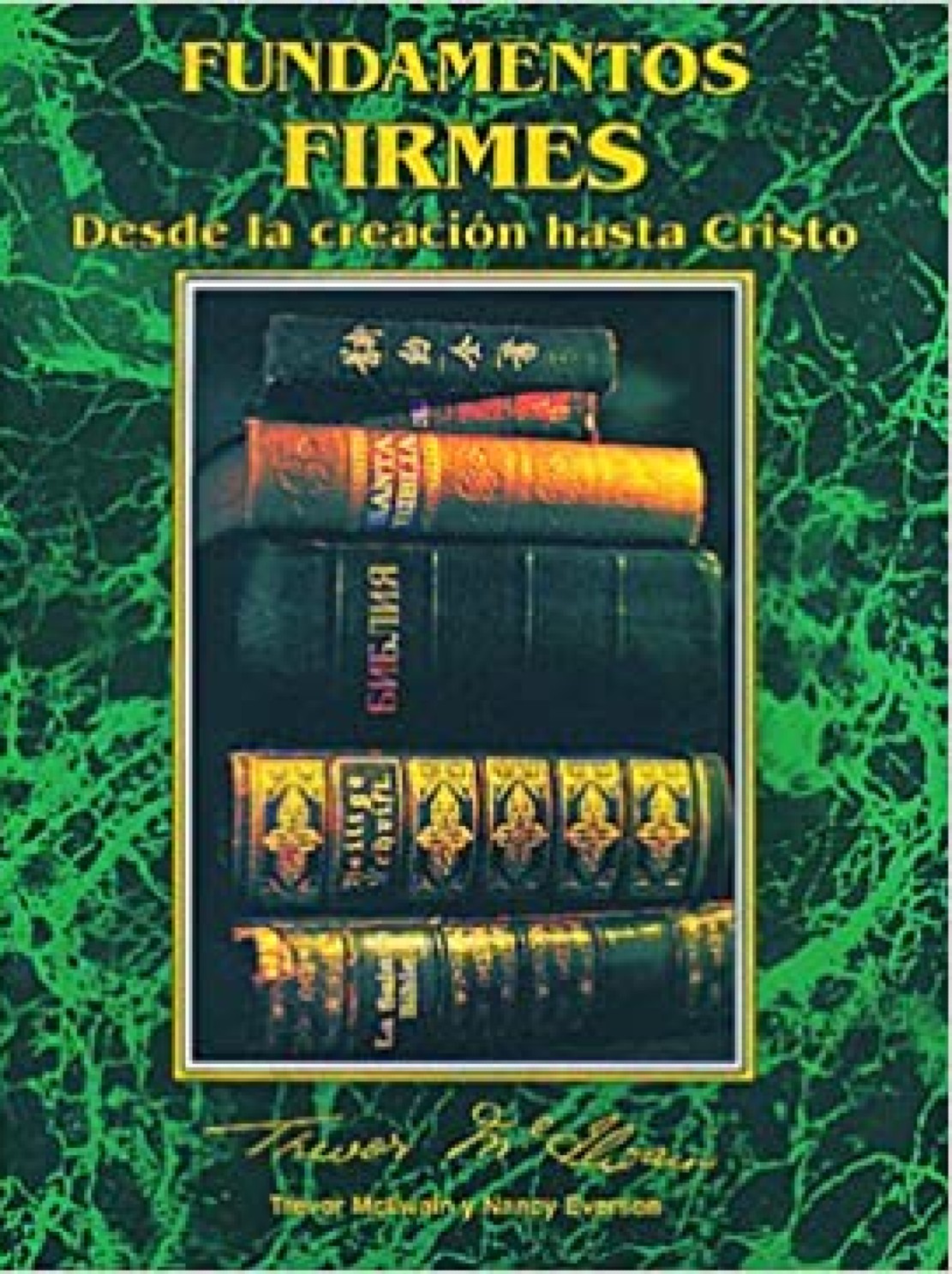 Fundamentos Firmes: Desde la Creación hasta Cristo - Tapa Blanda – Trevor McIlwain