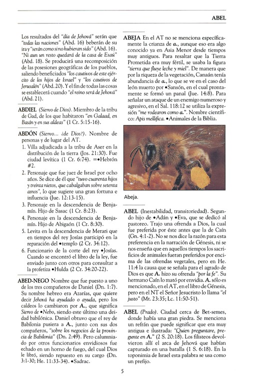 Nuevo Diccionario de la Biblia- Tapa Dura – Alfonso Lockward - Imagen 7