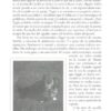 Cómo Criar a un Niño de Voluntad Firme - Tapa Blanda – James Dobson - Imagen 5
