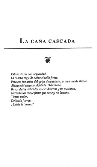 Todavía Remueve Piedras - Tapa Blanda – Max Lucado - Imagen 10