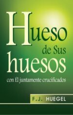 Huesos De Sus Huesos - Tapa Blanda – F.J. Huegel