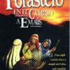 El Forastero en el Camino a Emaús – Manual de Trabajo - Tapa Blanda – Juan R. Cruz