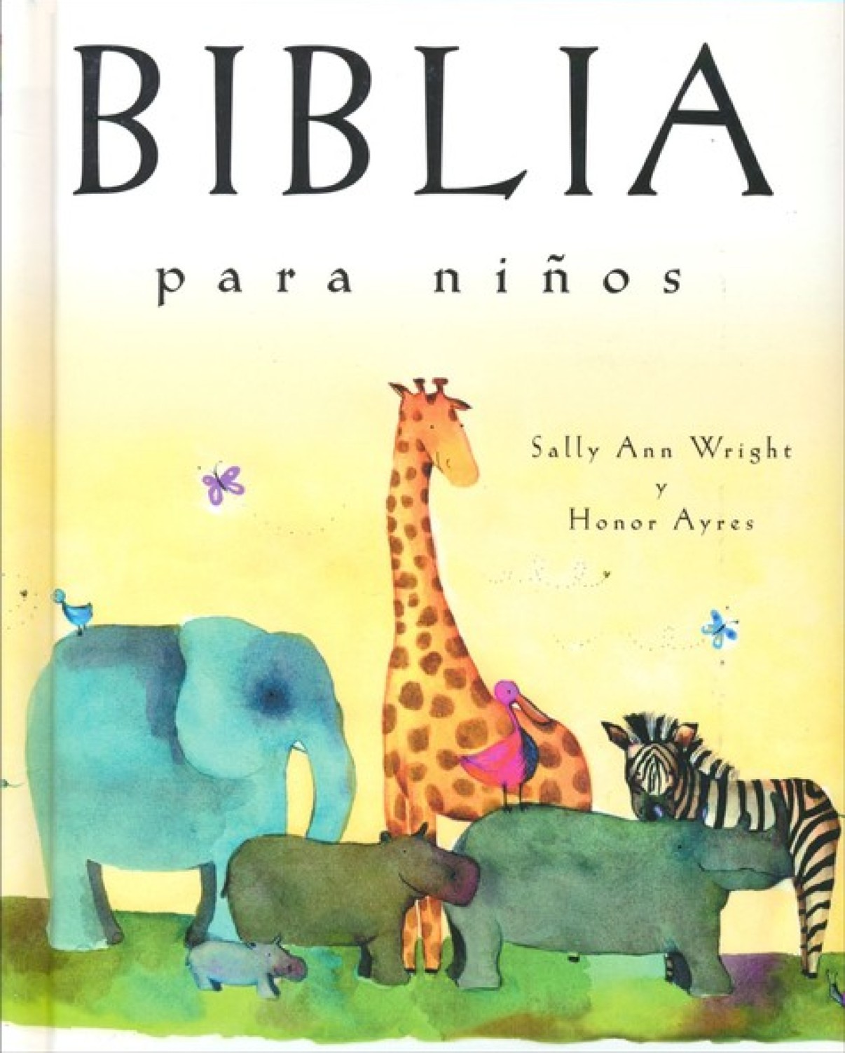 Biblia para Niños: Edición Regalo - Tapa Dura – Sally Ann Wright