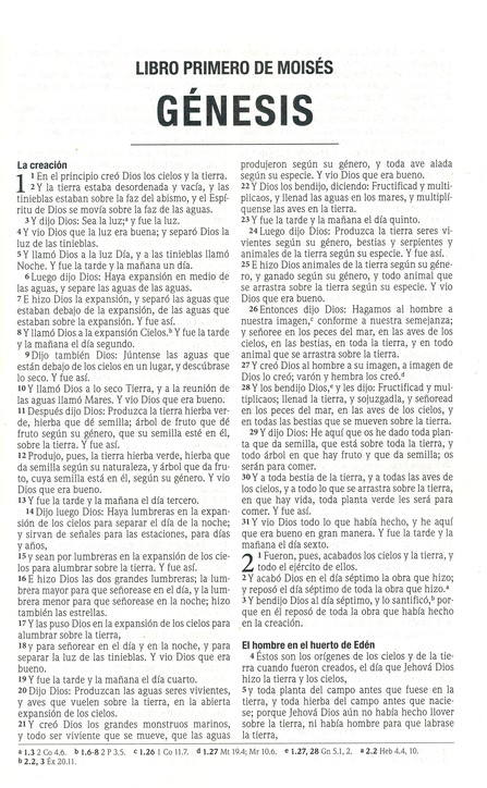 Biblia RVR 1960 Edición Misionera - Tapa Blanda - Imagen 3