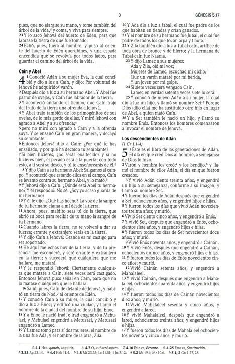 Biblia RVR 1960 Edición Misionera - Tapa Blanda - Imagen 5