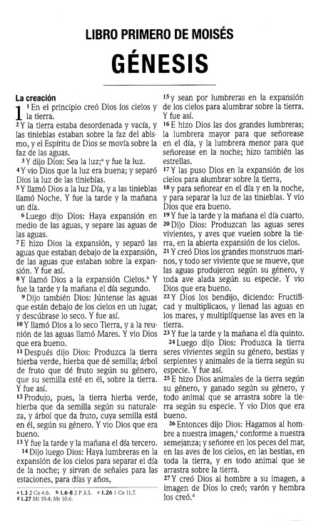 RVR60 Santa Biblia - Letra Grande - Tapa Blanda - La Caja viene 24 Biblias - Imagen 4