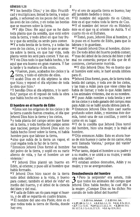 RVR60 Santa Biblia - Letra Grande - Tapa Blanda - La Caja viene 24 Biblias - Imagen 5