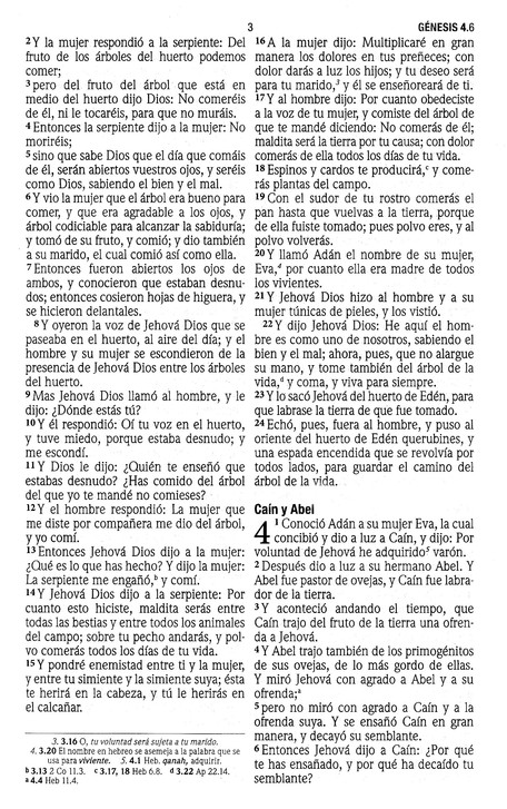 RVR60 Santa Biblia - Letra Grande - Tapa Blanda - La Caja viene 24 Biblias - Imagen 6