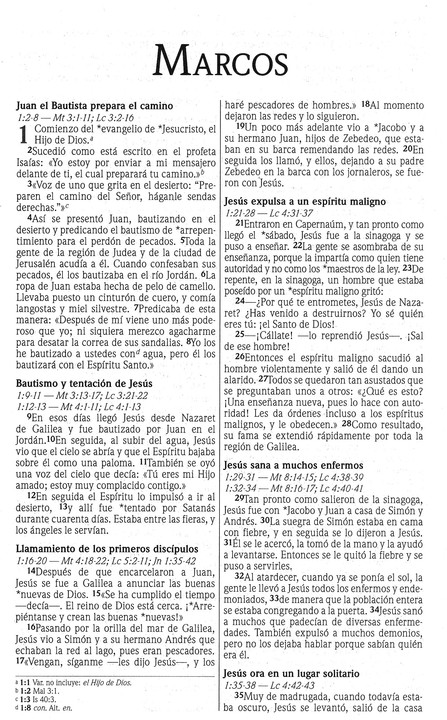 NVI Nuevo Testamento - Verde Fiesta - Tapa Blanda - Imagen 3
