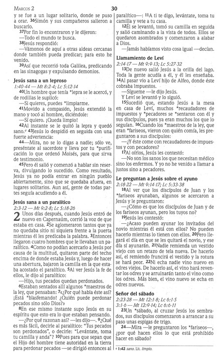 NVI Nuevo Testamento - Verde Fiesta - Tapa Blanda - Imagen 4