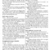 NVI Nuevo Testamento - Verde Fiesta - Tapa Blanda - Imagen 8