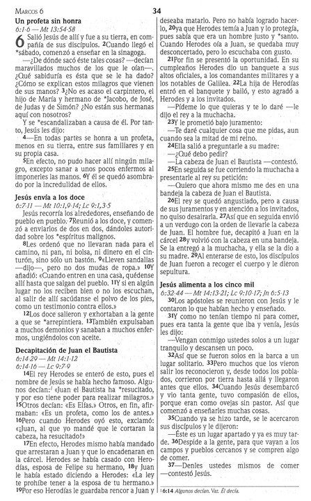 NVI Nuevo Testamento - Verde Fiesta - Tapa Blanda - Imagen 8