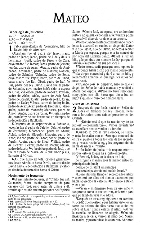NVI Nuevo Testamento - Marrón - Joya - Tapa Blanda - Imagen 3