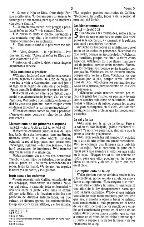 NVI Nuevo Testamento - Marrón - Joya - Tapa Blanda - Imagen 5